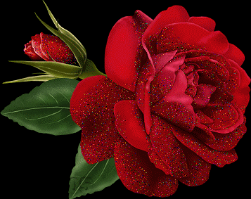 Rose rouge